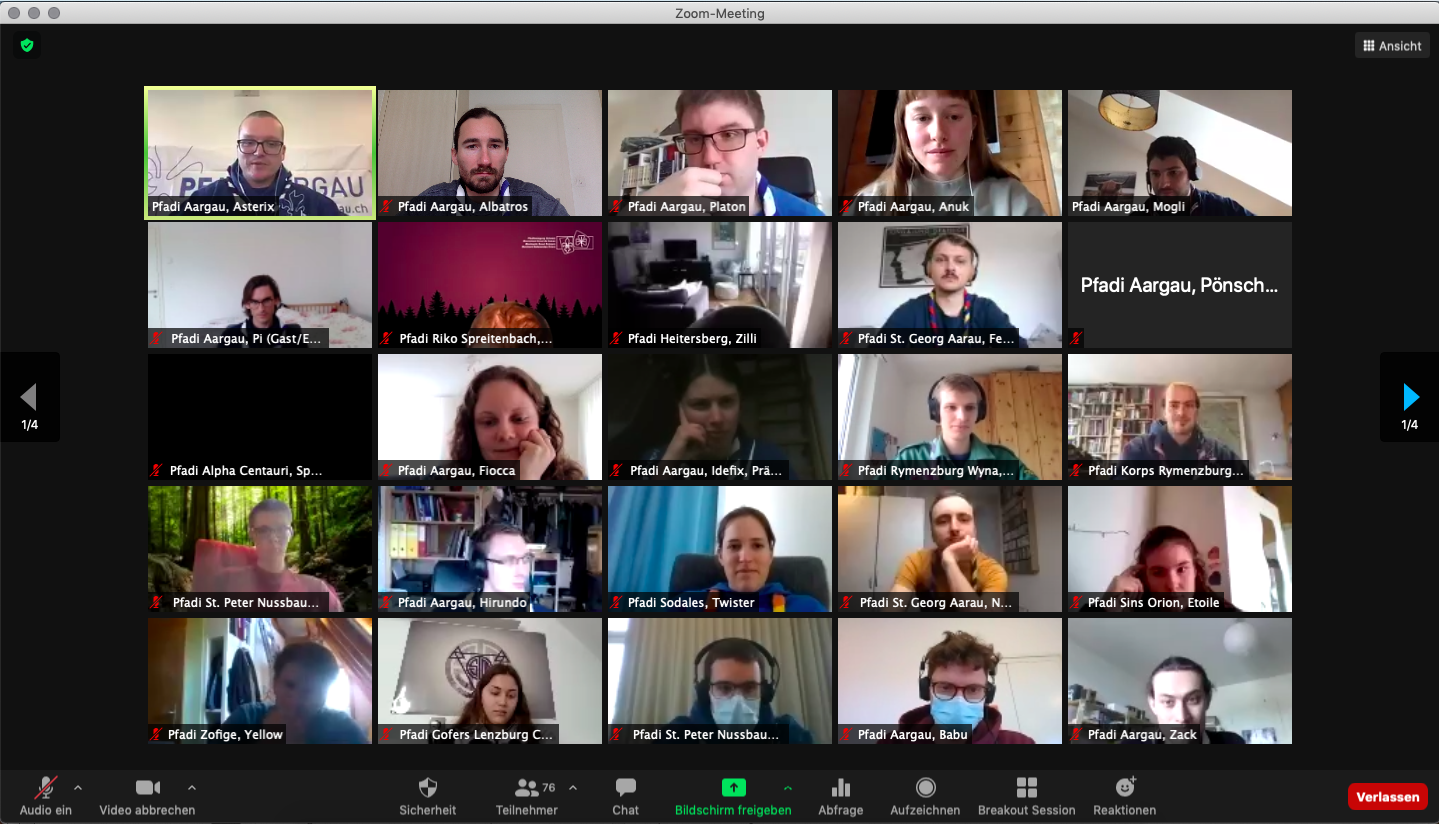 Einige Teilnehmende der Videokonferenz